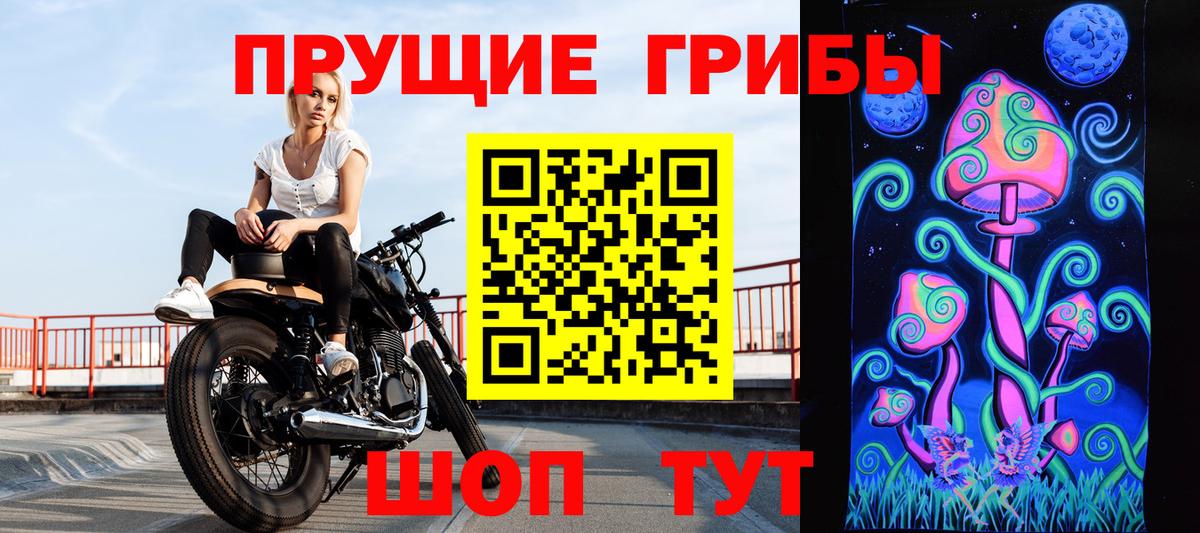 Псилоцибиновые грибы мицелий  Псилоцибиновые грибы GOLDEN TEACHER  Вход с VPN  купить наркотик  Унеча 